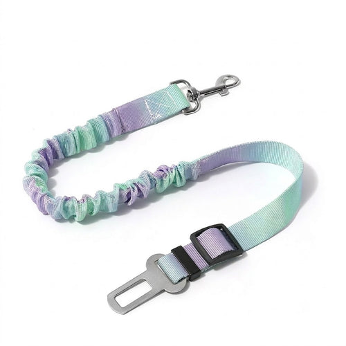 Green and Purple Gradient Elastic Pet Car Safety Tether