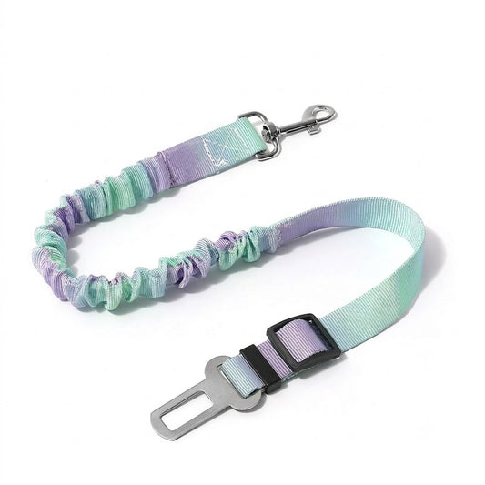 Green and Purple Gradient Elastic Pet Car Safety Tether